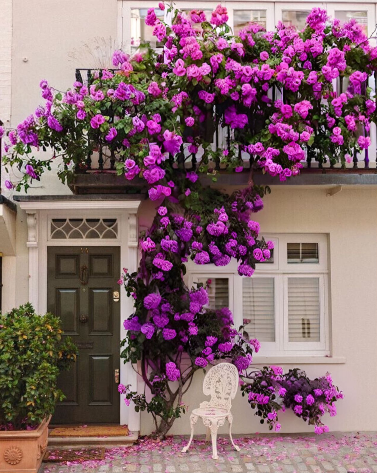 Por que somos únicos?